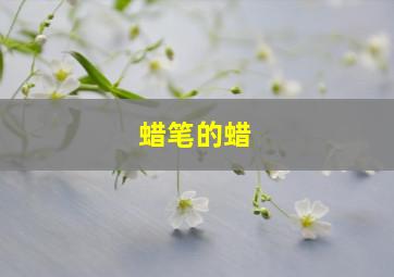 蜡笔的蜡