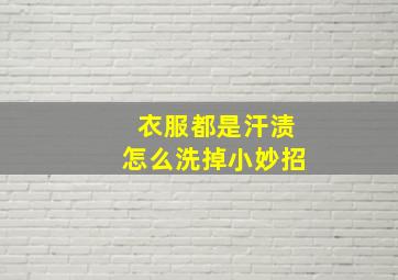 衣服都是汗渍怎么洗掉小妙招