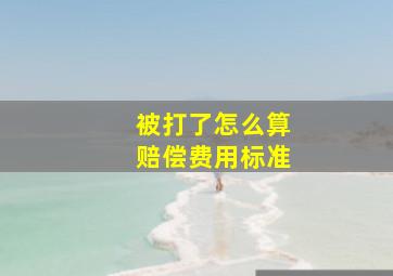 被打了怎么算赔偿费用标准