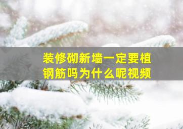 装修砌新墙一定要植钢筋吗为什么呢视频