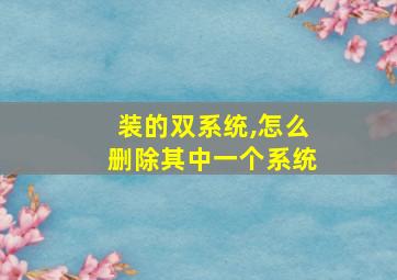 装的双系统,怎么删除其中一个系统