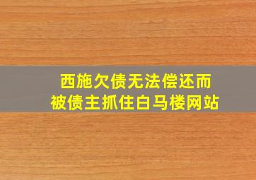 西施欠债无法偿还而被债主抓住白马楼网站