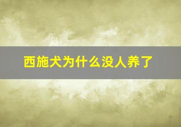 西施犬为什么没人养了