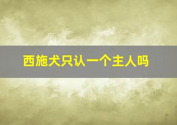 西施犬只认一个主人吗