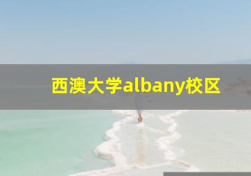 西澳大学albany校区