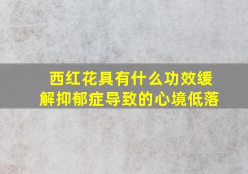 西红花具有什么功效缓解抑郁症导致的心境低落