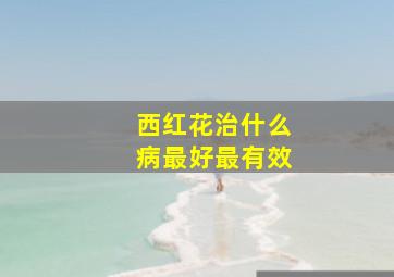 西红花治什么病最好最有效