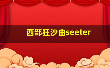 西部狂沙曲seeter