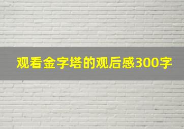 观看金字塔的观后感300字