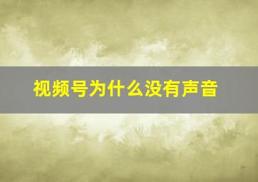 视频号为什么没有声音