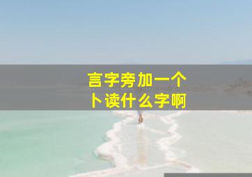 言字旁加一个卜读什么字啊