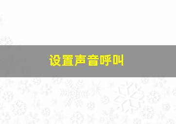 设置声音呼叫