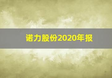 诺力股份2020年报