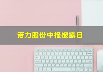 诺力股份中报披露日