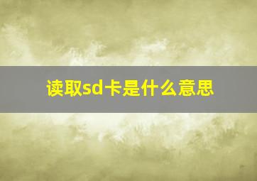 读取sd卡是什么意思