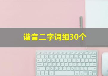 谐音二字词组30个