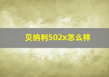 贝纳利502x怎么样