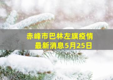 赤峰市巴林左旗疫情最新消息5月25日