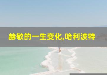 赫敏的一生变化,哈利波特