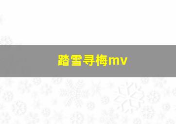 踏雪寻梅mv