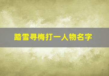 踏雪寻梅打一人物名字