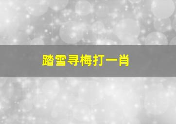 踏雪寻梅打一肖