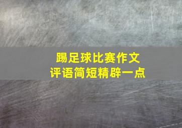 踢足球比赛作文评语简短精辟一点