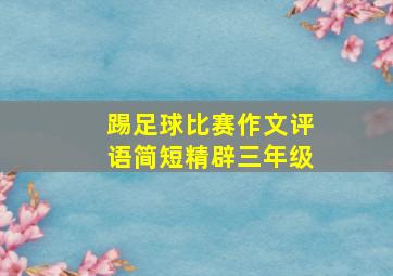 踢足球比赛作文评语简短精辟三年级