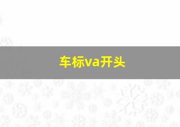 车标va开头