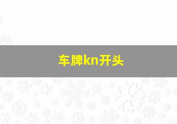 车牌kn开头