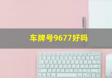 车牌号9677好吗