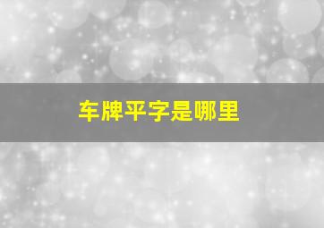 车牌平字是哪里