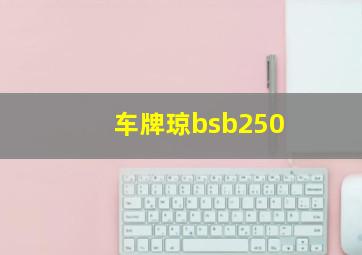 车牌琼bsb250