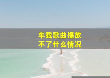 车载歌曲播放不了什么情况