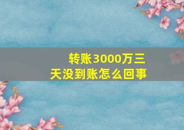 转账3000万三天没到账怎么回事