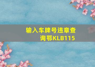 输入车牌号违章查询鄂KLB115