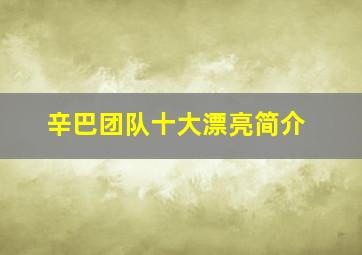 辛巴团队十大漂亮简介