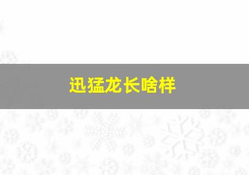 迅猛龙长啥样