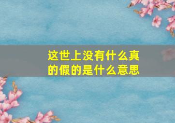 这世上没有什么真的假的是什么意思