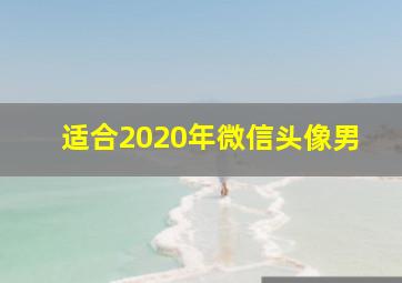 适合2020年微信头像男