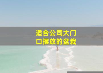 适合公司大门口摆放的盆栽