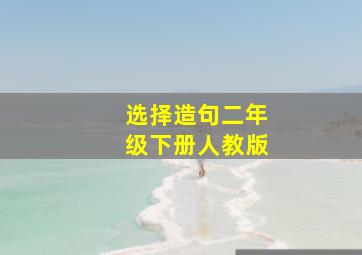 选择造句二年级下册人教版