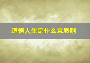 道悟人生是什么意思啊