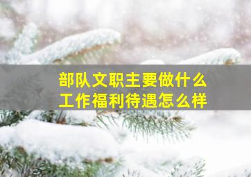 部队文职主要做什么工作福利待遇怎么样