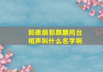 郭德纲郭麒麟同台相声叫什么名字啊