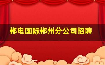 郴电国际郴州分公司招聘