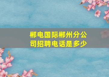 郴电国际郴州分公司招聘电话是多少