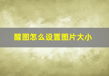 醒图怎么设置图片大小