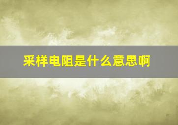 采样电阻是什么意思啊