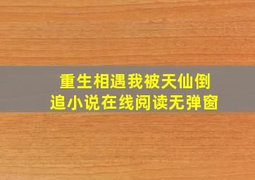 重生相遇我被天仙倒追小说在线阅读无弹窗